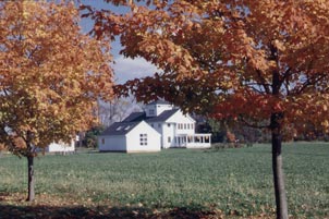 Cynthia Nixon Studio in the Fall