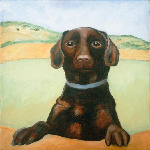 Large Version of Little Dog