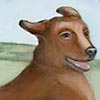 Thumnail Picture of Dog Run