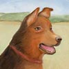 Thumnail Picture of Field Dog