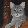Thumbnail Picture of Kitty