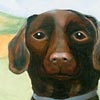 Thumnail Picture of Little Dog