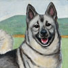 Thumbnail Picture of Pippin