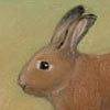 Thumnail Picture of Rabbit Run