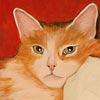 Thumnail Picture of Red