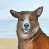 Thumbnail Picture of Beach Dog