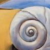 Thumbnail Picture of Blue Moon Shell