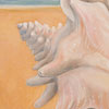 Thumbnail Picture of Conch