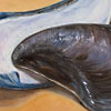 Mussel Shells