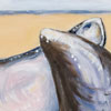 Thumbnail Picture of Small Mussel Shells