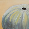 Thumbnail Picture of Urchin